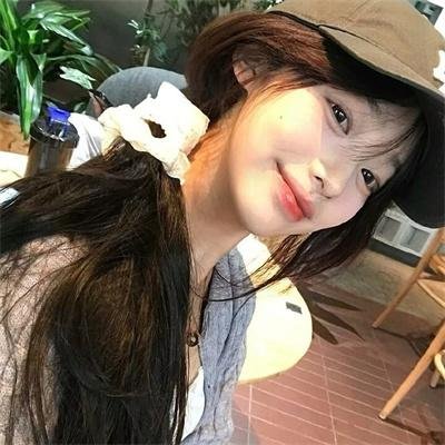 刺猬与城市